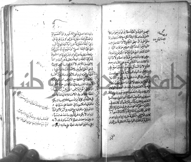 شرح الشافية 