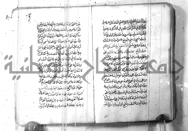 التفنن في الصرف