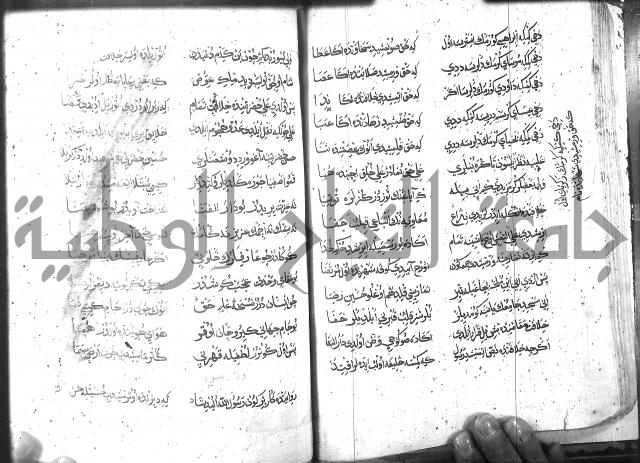 كتاب المحمديه الشريعية