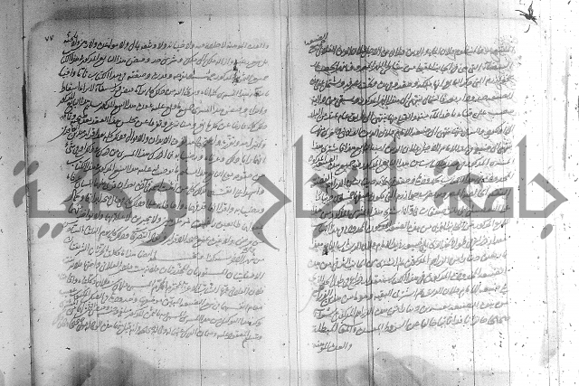 البسيط في الشروط