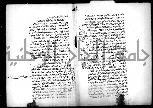 كتاب الحيوان