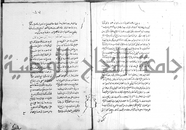 كتاب في الادب 