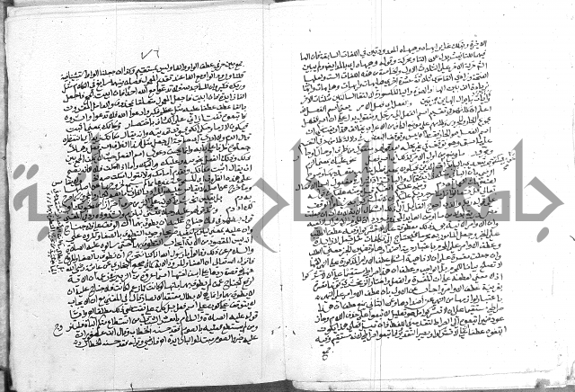 كتاب في اللغة العربية