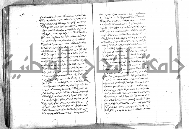 خزانة المفتين