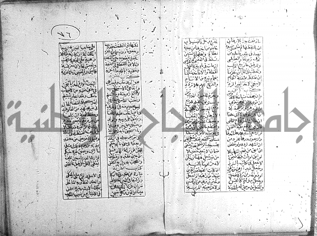 خلاصة التنوير 