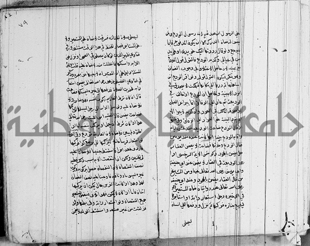 لسان الحكام