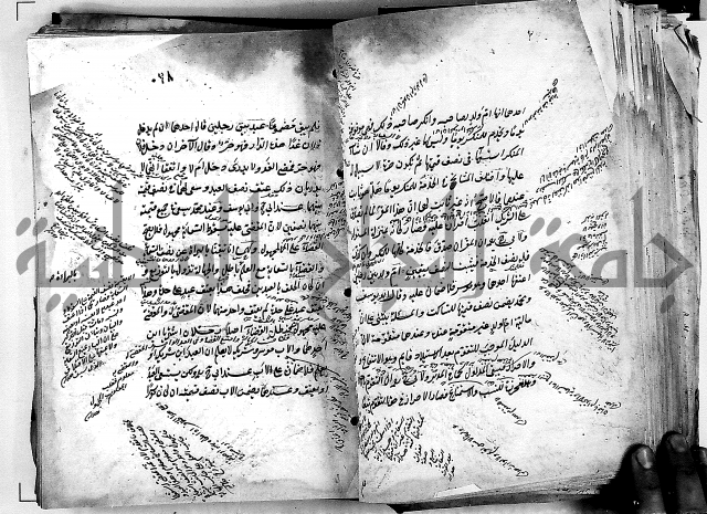 مذهب ابي حنيفة في الفقة
