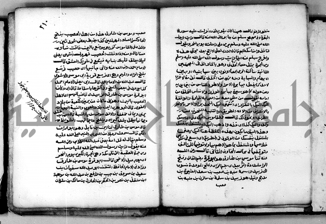 شرح ثلاثيات المسند ج 2 