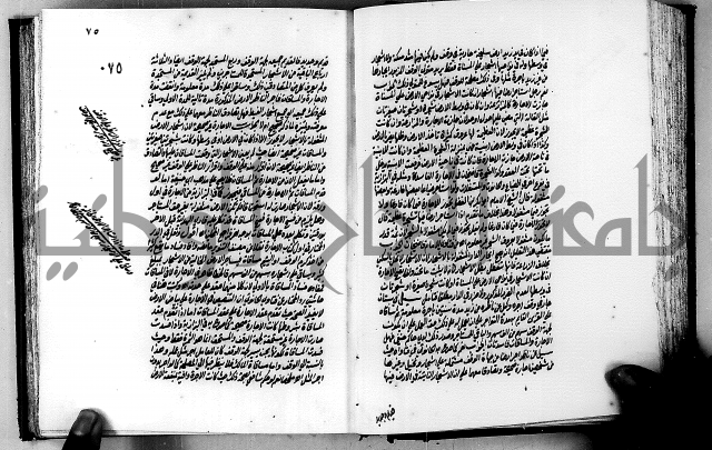 الجواهر الدورية في تنقيح الفتاوى الحامدية ج2 