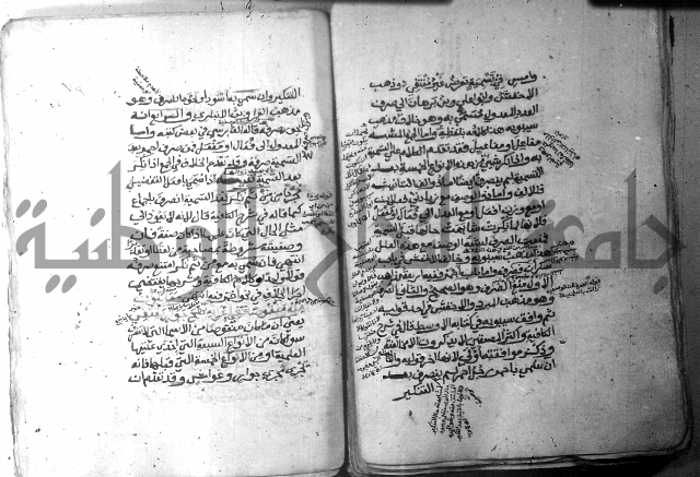 شرح الاشموني على الافية