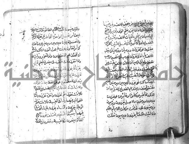 التفنن في الصرف