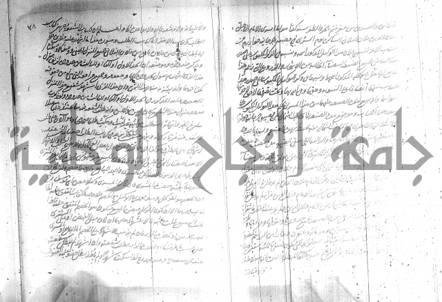 البسيط في الشروط