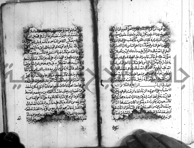 رسالة في الاحتساب