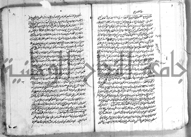 فتاوي تركية