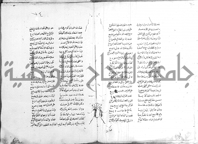 كتاب في الادب 