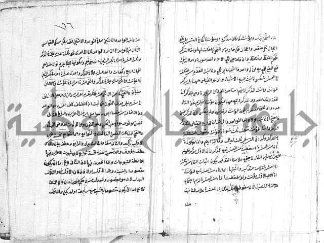 الانتاج المؤلف 