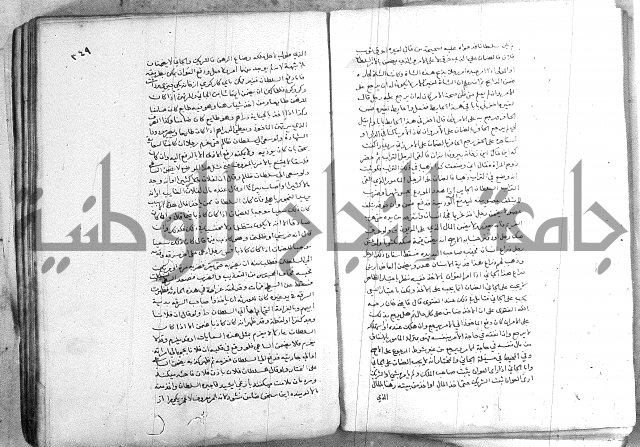 خزانة المفتين