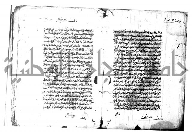 شرح شذور الذهب لابن هشام