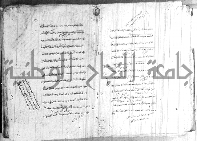ضوء في علم النحو