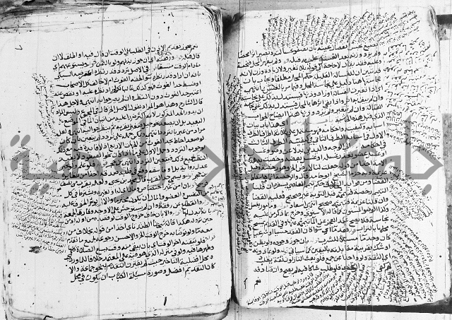 الزيادي على المنهج 