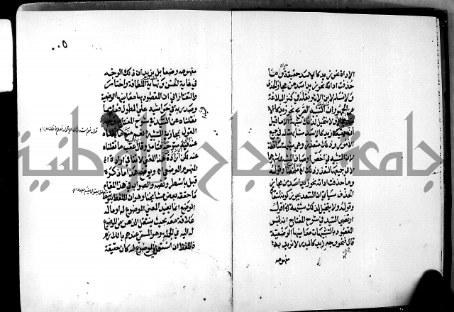 الرسالة البيانية