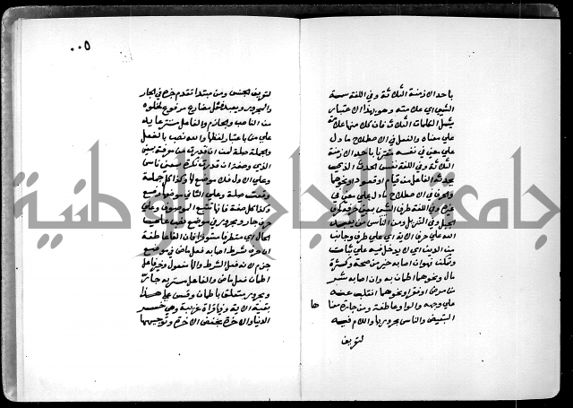 شرح شذور الذهب في معرفة كلام العرب 