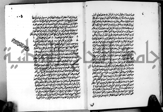 الجواهر الدورية في تنقيح الفتاوى الحامدية ج2 