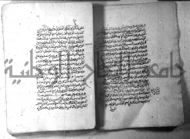 شرح الاشموني على الافية