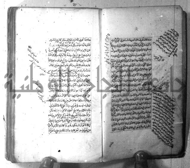 شرح الشافية 