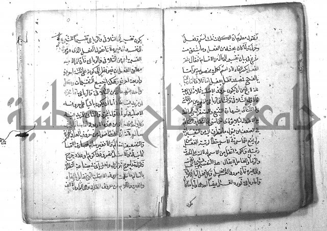 التفنن في الصرف