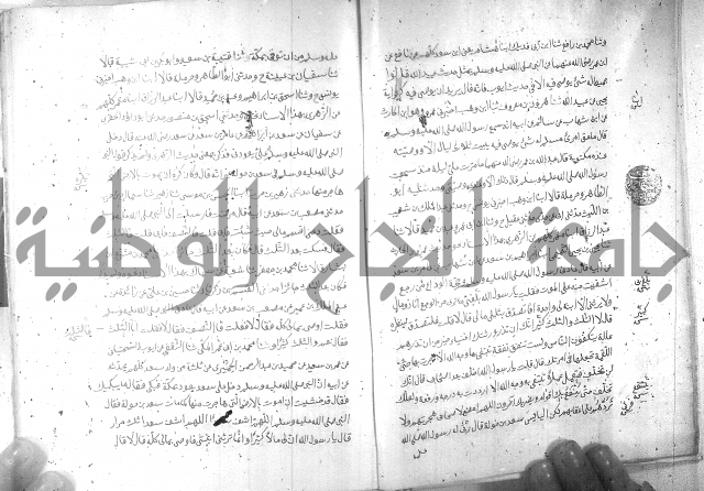 صحيح مسلم ج 2 