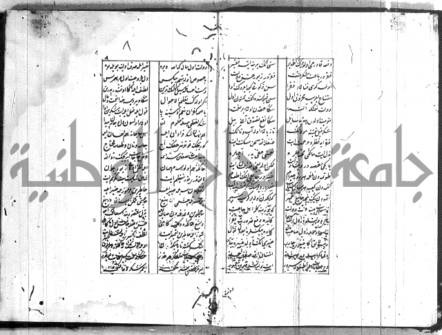 نظم تركي