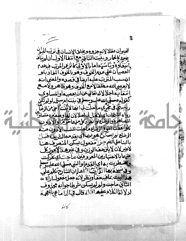متفرقات