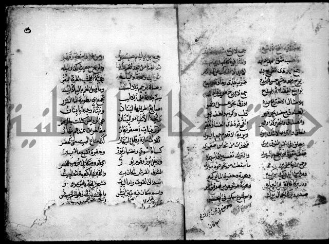 مجهول نظم