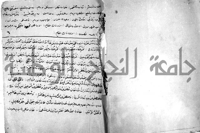 مولد النبي المصطفى