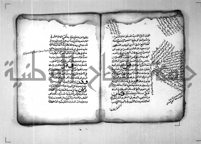 شرح الهمزية  