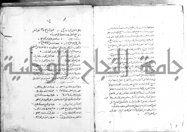 كتاب في الادب 