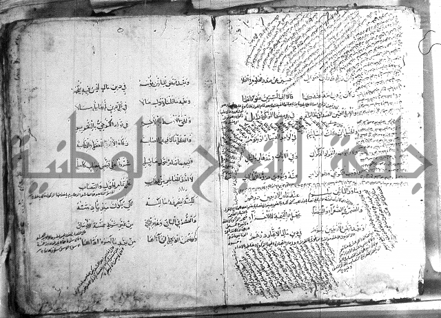 فقة حنفي 