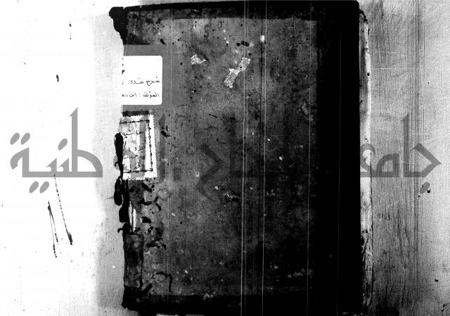 شرح شذور الذهب لابن هشام