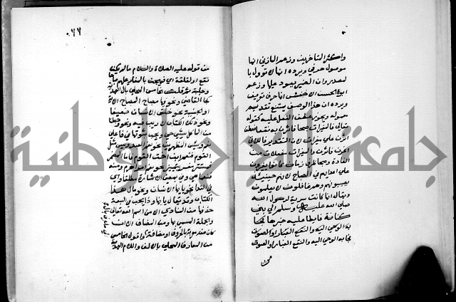 شرح شذور الذهب في معرفة كلام العرب 