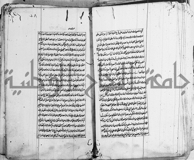 الاشباه والنظائر