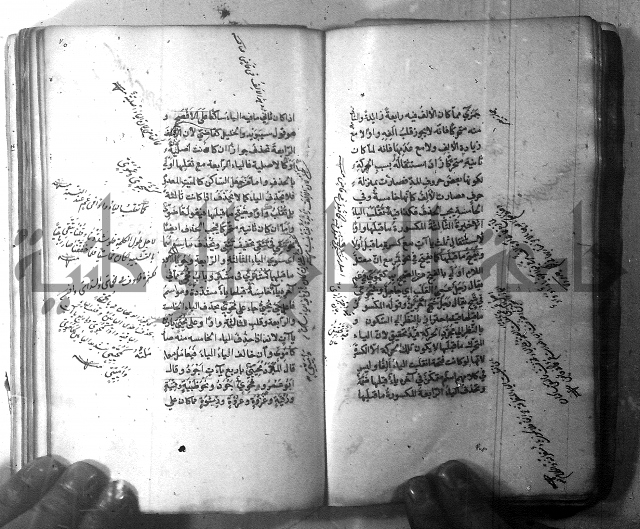 شرح الشافية 