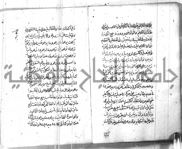 التفنن في الصرف