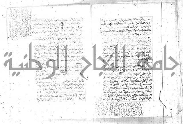 شرح تنوير الابصار2