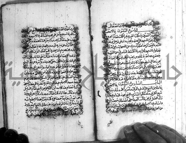 رسالة في الاحتساب