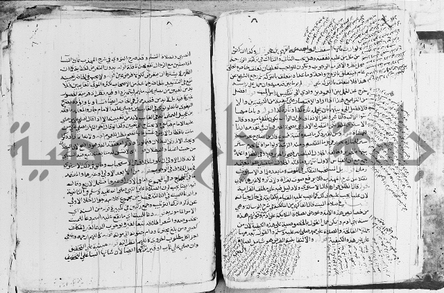 الزيادي على المنهج 