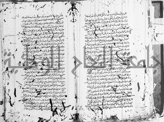 شافعي اصول فقه 