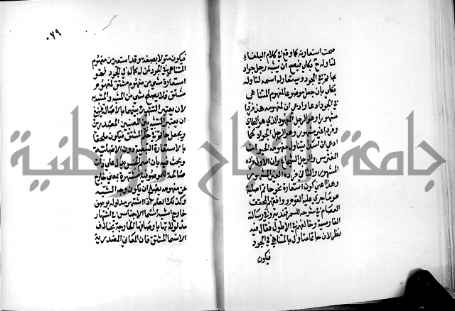 الرسالة البيانية