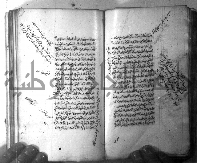 شرح الشافية 