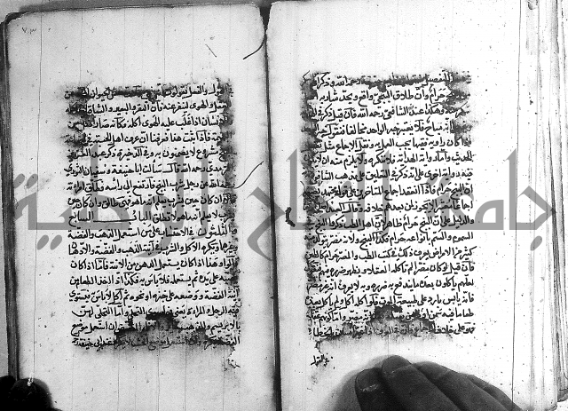 رسالة في الاحتساب